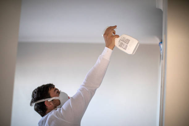Best Commercial Mold Remediation in South Charleston, WV