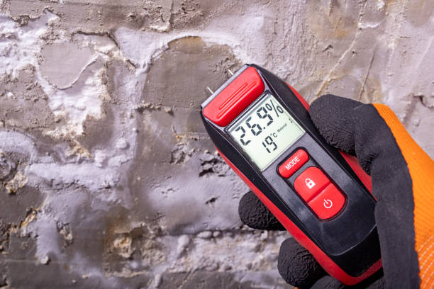 Best Insurance-Related Mold Remediation in South Charleston, WV