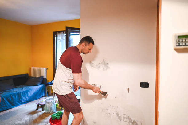 Trusted South Charleston, WV Mold Remediation Experts